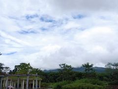 -西双版纳原始森林公园
