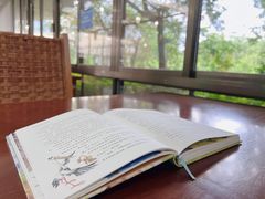 -深圳少年儿童图书馆