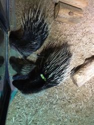 -酷嗒动物文化乐园(cutezoo西溪乐天城店)