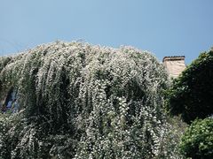 -府河摄影公园