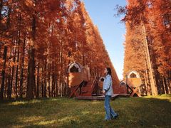 -黄海国家森林公园