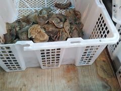 -老李家杂肝汤(回民街店)