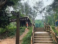 -青龙山国家森林公园