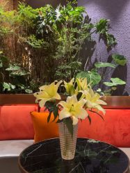 -花隐·美芙炫海菲秀皮肤管理中心