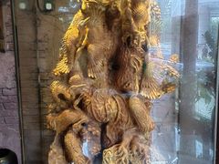 -富侨养生(光大会展店)