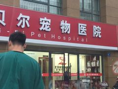 -艾贝尔宠物医院 ·内科全科(梁溪路店)