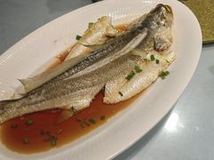 清蒸本地大黄鱼-舌尖上·霞浦滩涂海鲜·新闽菜(总店)