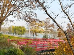 -八佰伴(人民中路店)
