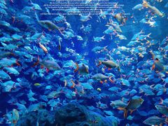 -成都浩海立方海洋公园