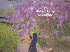 -武汉紫薇都市田园