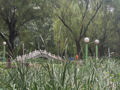 -滨河世纪广场公园