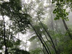 -陕西省红河谷森林公园