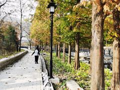 -白水寺森林公园