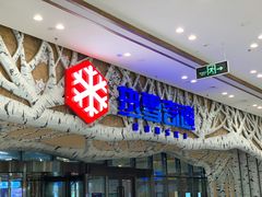 -哈尔滨热雪奇迹