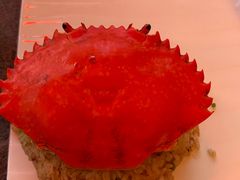 -Ministry of Crab•MOC(交子大道店)