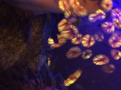iphone_upload_pic-宝丽金大酒店·洗浴中心