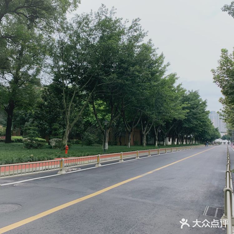 成都攻略| 川大望江老校区，看景觅食两不误