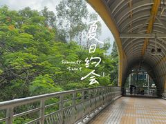 -深圳市宝安体育中心体育场