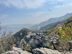 -北京鹫峰国家森林公园