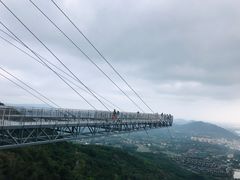-呀诺达热带雨林