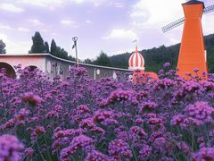 -名花谷生态庄园