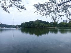 -食膳公园包子铺(烈士公园店)