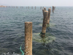 iphone_upload_pic-八大关景区