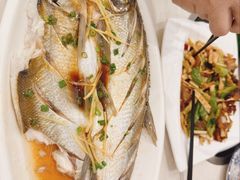 -源水鱼庄·翘嘴鲌店·老字号