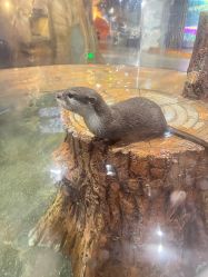 -Zoolung Zoolung动物主题公园(海信广场店)