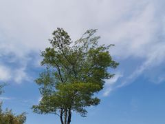 -桃花岛公园