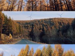 -塞罕坝国家级自然保护区