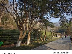 -敬亭山风景名胜区