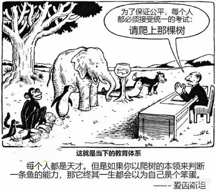 小象润知早教·托育·幼儿园成长中心图片
