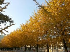-辽宁大学(崇山校区)