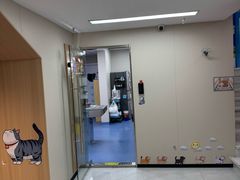 -恒幸动物医院·急重症转诊中心·神经内外科·CT核磁