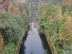 -重庆彩云湖湿地公园
