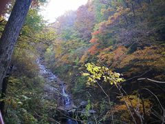 -龙道沟景区