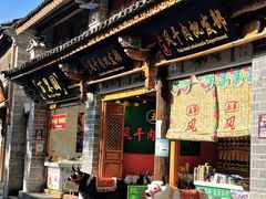 -西双版纳原始森林公园