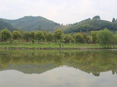 -径山花海