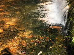 -雁荡山风景名胜区-小龙湫