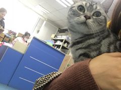 -北京赛佳动物医院