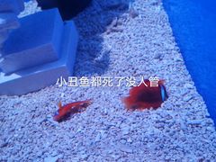 -海合安青岛极地海洋公园