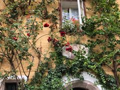 -布劳伽斯特豪夫哈尔施塔特宾馆