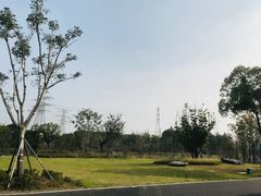 -漕湖湿地公园