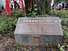 -三国赤壁古战场