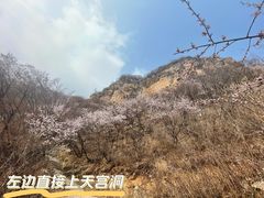 -濂泉响谷