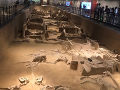 -洛阳周王城天子驾六博物馆