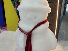 -世界之窗阿尔卑斯冰雪世界