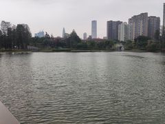 -四海公园(南山区)
