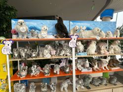 -IMON·HANSA潮玩玩偶毛绒玩具(通州万象汇店)